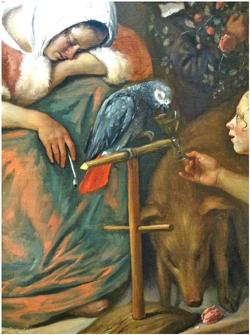 Detalhe de “Os Efeitos da Intemperança” de Jan Steen (1663-1665), mostrando um papagaio-do-congo, Psittacus erithacus. National Gallery, Londres.