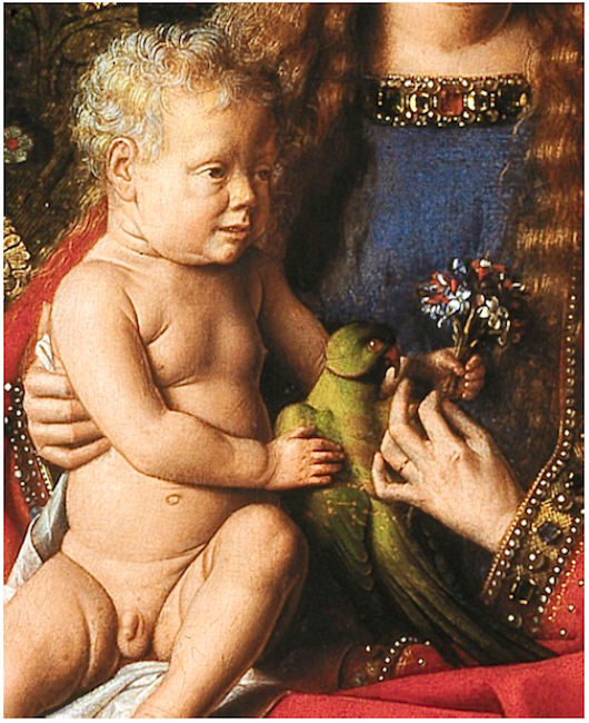 Detalhe da “Virgem e o Menino com o Cônego van der Paele” de Jan van Eyck (1436), mostrando um periquito-de-colar, Psittacula krameri. Goeningemuseum, Bruges.