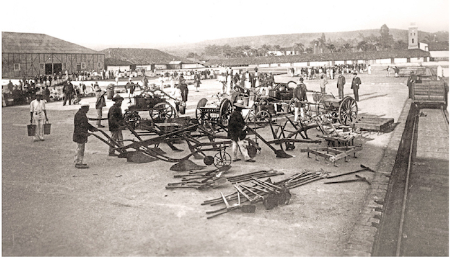 Escravos no terreiro de caf&eacute;. &Aacute;lbum Jos&eacute; Vergueiro - Acervo Dra. Lotte K&ouml;hler.