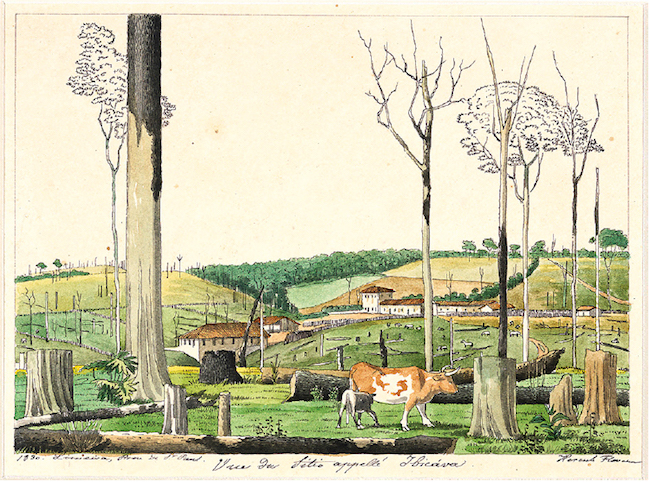Hercule Florence. Vista do S&iacute;tio chamado Ibic&aacute;va, 1830, aquarela e nanquim sobre papel - 22,1 x 29,8 cm.