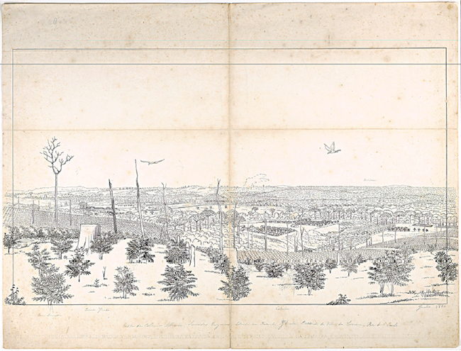 Hercule Florence. Vista da Colonia Allem&atilde;, Senador Vergueiro, situada na Fazenda Ybicaba, Districto de Villa da Limeira, Prov de S. Paulo - junho 1850, 1850, nanquim e grafite sobre papel, 40,9 x 54,1cm.