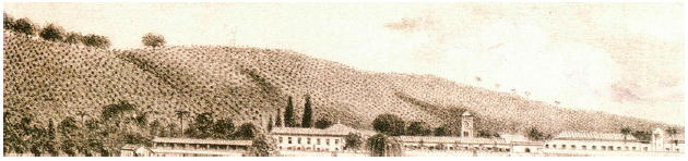 Detalhe da simetria e alinhamento do cafezal e de sua proximidade &agrave; casa-grande e &agrave;s edifica&ccedil;&otilde;es produtivas. Recorte da Figura 5