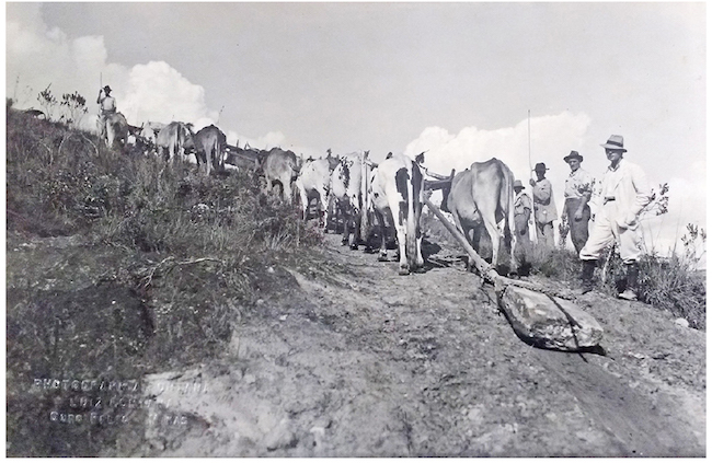 Transporte de pedra da aba do morro Itacolomi para Ouro Preto, 1936. Fotografia de Luiz Fontana. Acervo do Museu Hist&oacute;rico Nacional, Rio de Janeiro.