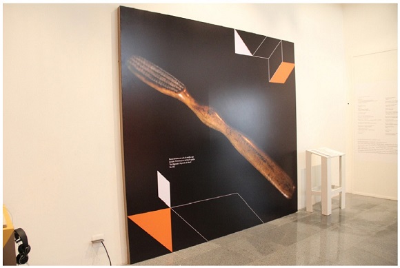 Fotografia impressa em painel de escova de dente encontrada no Matadouro de S&atilde;o Crist&oacute;v&atilde;o. 