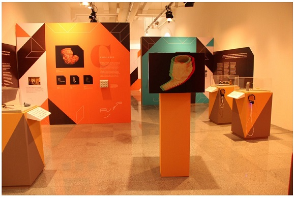 Vis&atilde;o geral da exposi&ccedil;&atilde;o &ldquo;Achados da Leopoldina&rdquo;.