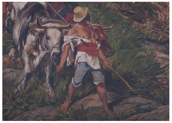 O branco, vermelho e azul nas vestes do caipira.