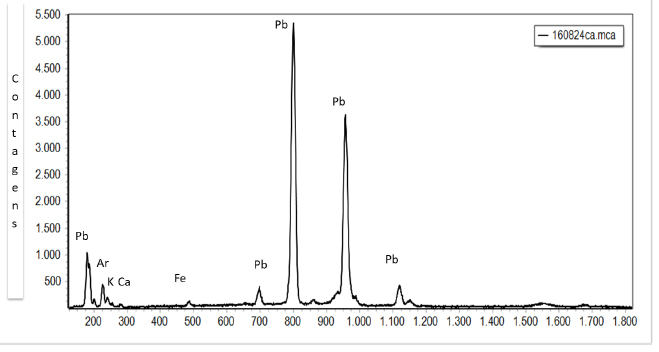 Exemplo do espectro de ED-XRF obtido para o ponto P1 (160824ca) de pigmenta&ccedil;&atilde;o branca medido na arca RG3242. 
