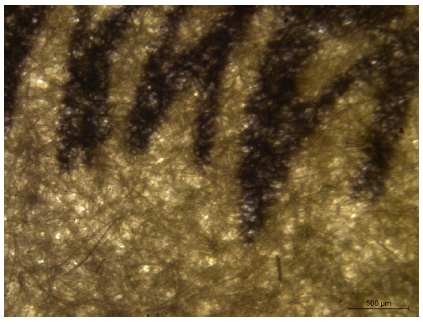 Imagem resultante da an&aacute;lise da obra R&oacute;tulos de farm&aacute;cia com estereomicrosc&oacute;pio Leica M205 A (detalhe de &aacute;rea com imagem foto impressa). Hercule Florence. [R&oacute;tulos de farm&aacute;cia], [1833-1839]. C&oacute;pia fotogr&aacute;fica de etiquetas para farm&aacute;cia, obtida sobre papel fotossens&iacute;vel, por contato, sob a a&ccedil;&atilde;o da luz solar, 21,0 x 29,4 cm (irregular). Cole&ccedil;&atilde;o Instituto Hercule Florence (S&atilde;o Paulo). 