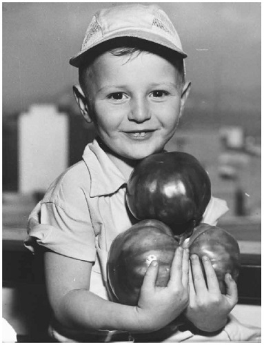 Imagem de propaganda da Novacap evocando a fartura de alimentos em Brasília.