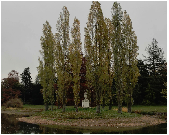Ilha de Rousseau no jardim de Wörlitz.