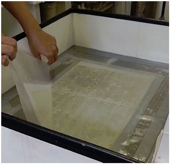 Remoção de bifólio da máquina obturadora de papel.