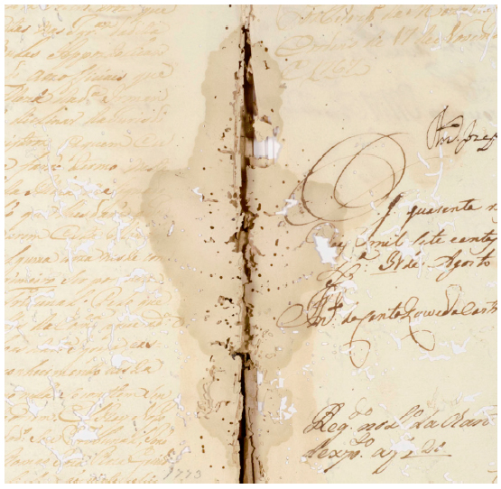 Mancha de umidade e perdas de suporte por ataque de insetos xilófagos (detalhe), 2018. Foto: Cláudio Nadalin.