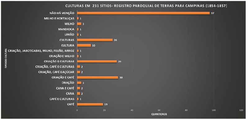 Quantifica&ccedil;&atilde;o da produ&ccedil;&atilde;o em 231 s&iacute;tios descritos no registro paroquial de terras de Campinas.