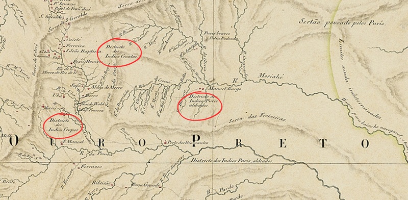 
							 - Detalhe da região do vale do rio Pomba, com os distritos organizados por Marlière em destaque no “Novo Mappa da Capitania de Minas Geraes”. Levantado por Guilherme Barão D’Eschwege, Tenente Coronel do Real Corpo de Engenheiros, 
							1821
							. Escala [ca. 1: 1 000 000]. (Cópia sem data). 1 mapa ms. em 4 folhas coladas, color. à mão; 141 cm × 104 cm.
						
