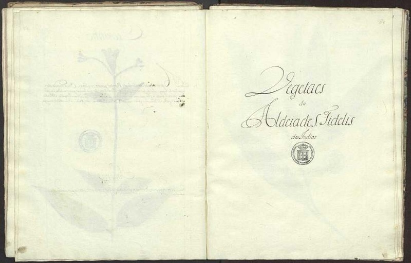 A primeira pgina aponta a aldeia em questo. Academia das Cincias de Lisboa - ACL, Srie Azul de Manuscritos, COD 627.