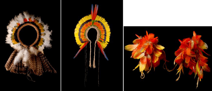 Adornos plum�rios das comunidades Rikbaktsa do Mato Grosso (DSC-5041), Tiriyo do Par� (DSC-5134) e Kayapo-xikrin (DSC-5008), respectivamente.
