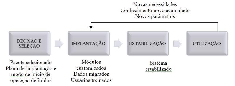 Ciclo de Vida de um Sistema ERP