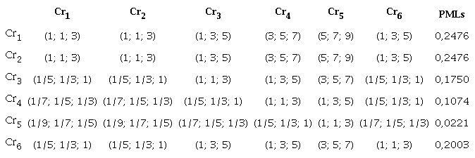 Weights assigned to the criteria and final prioritization