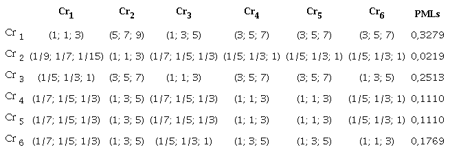 Weights assigned to the criteria and final prioritization