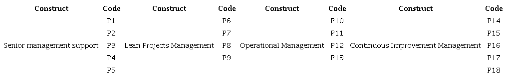 Aspects of the lean journey divided into constructs.
