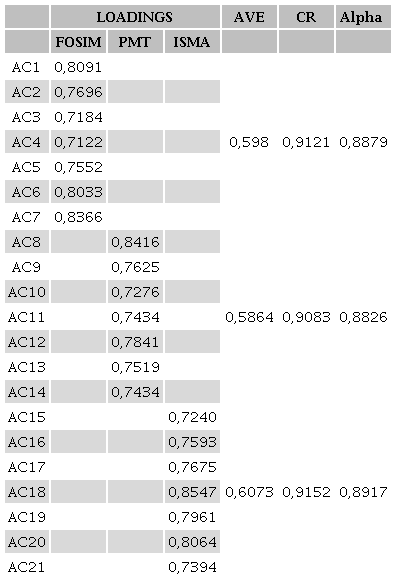 Factor loads, convergent validity and reliability