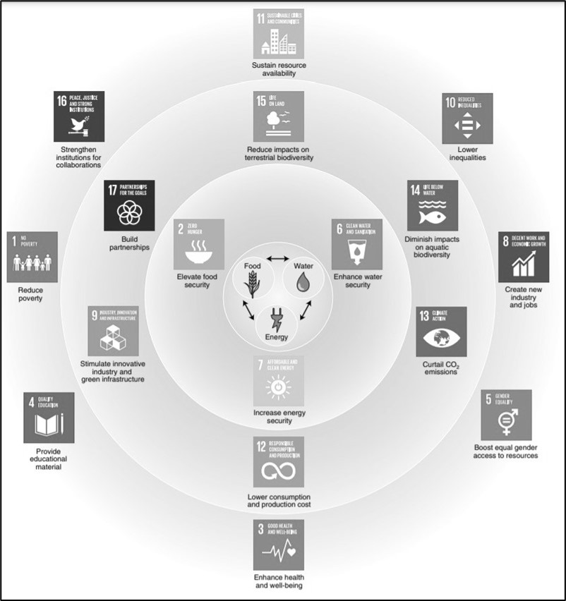 Impacts of the FEW Nexus Approach on the SDGs