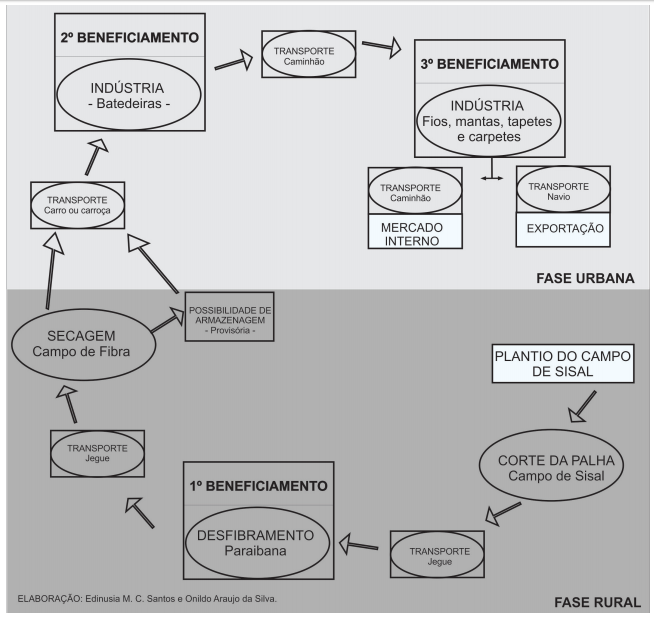 Schematic representation of the productive process of sisal
