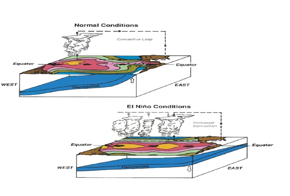 El Ni&ntilde;o phenomenon (from https://www.pmel.noaa.gov/elnino/what-is-el-nino )
			