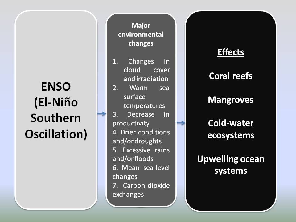 Linking major environmental changes in the marine and coastal ecosystems                                                        with El Ni&ntilde;o Southern Oscillation (ENSO).