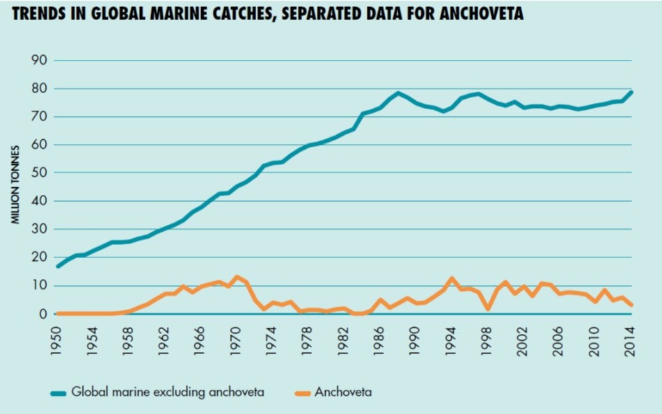 Importance of Peruvian anchoveta (Engraulis ringens) in the overall World catch.                                        (Figure from FAO 2016).
			