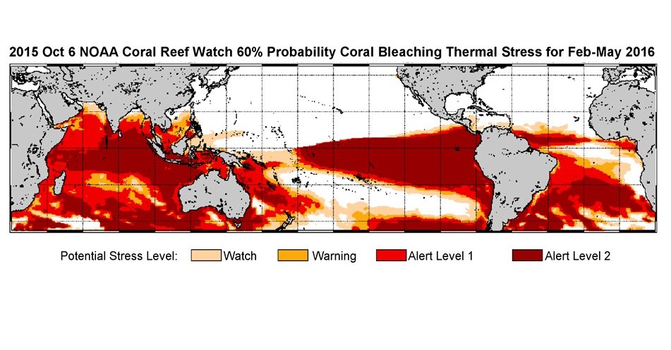In October 2016, the National Oceanic and Atmospheric Administration (NOAA) issued a general bleaching alert based on the El Ni&ntilde;o related warming evidence. 