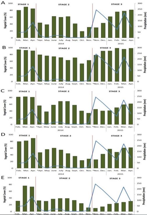 Vegetal Cover Monthly mean value and Monthly Total Precipitation at the three stages of treatment.