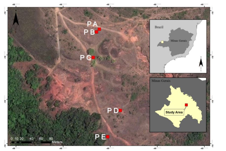FIRE EFFECTS ON SOIL AND VEGETATION          IN A DEGRADED BRAZILIAN SAVANNA