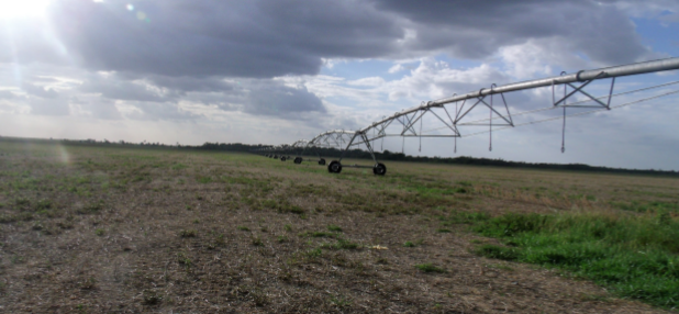 Areas of savanna being prepared for soybean planting, with emphasis on the presence of the central irrigation pivot. Photographer: Frank Rocha (2014)