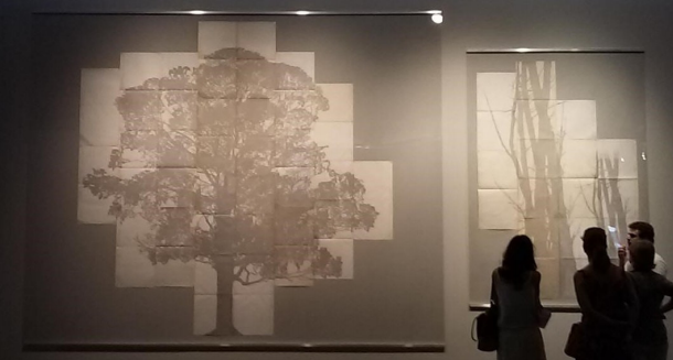 Exhibition of the work Permetros.