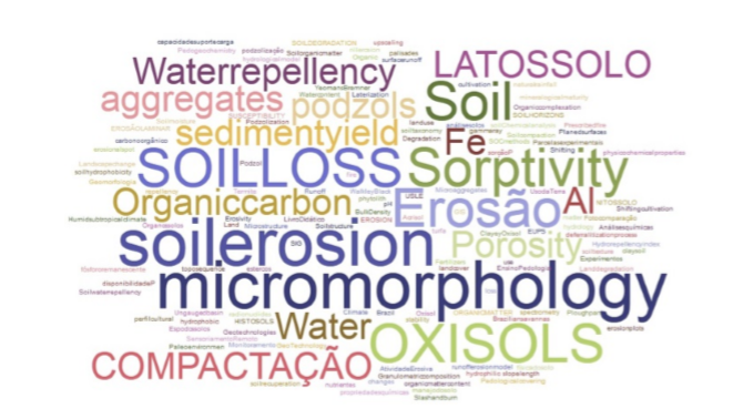 Keywords in soil surveys