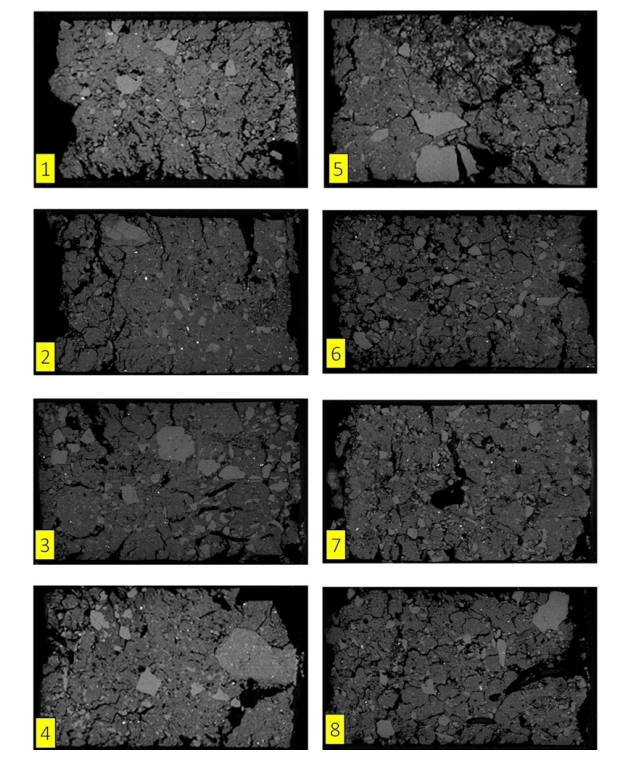Reconstruction of the coronal profiles of the soil samples images after being processed in the tomograph.