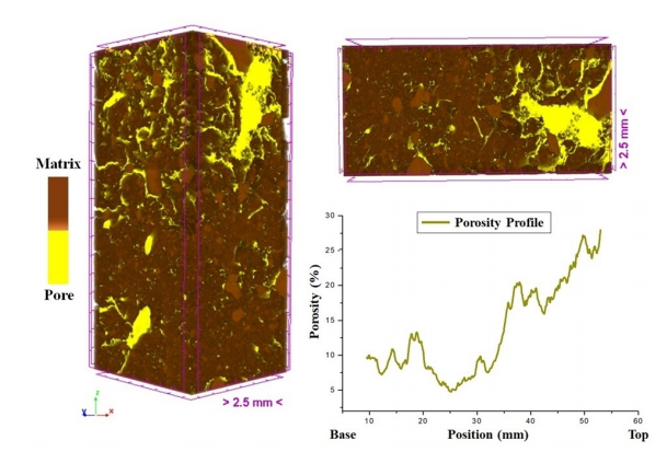 Pore distribution and 3D representation of a sample of plant-covered soil with the highest porosity.