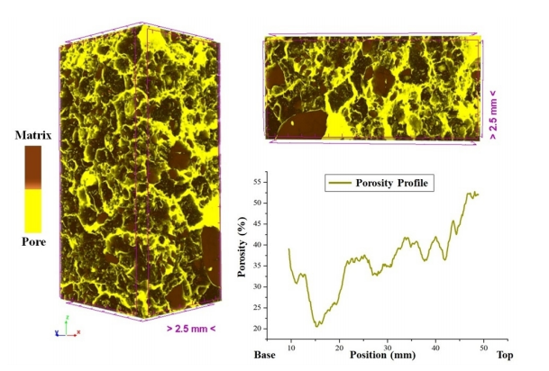 Pore distribution and 3D representation of a sample of plant-covered soil with the highest porosity.