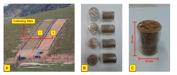 Sample collection procedures.