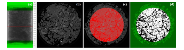 Adaptive method segmentation: (a) shows the projection; (b) shows a slice; (c) shows the same slice with the ROI emphasize in red and (d) segmented image.