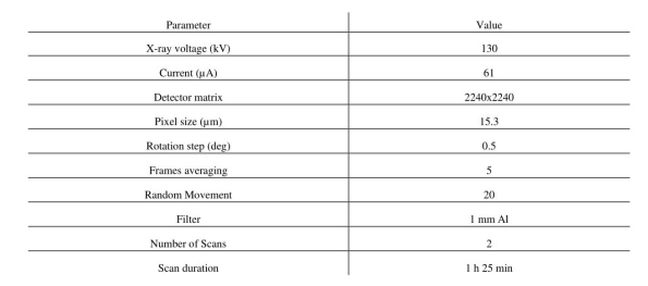 MicroCT measurements details.