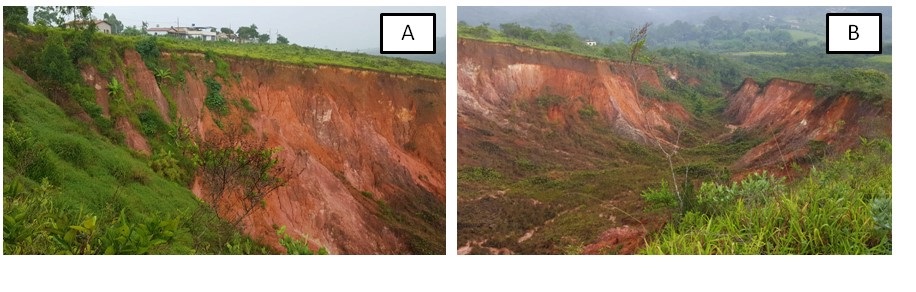 Gullies located near S&atilde;o Gon&ccedil;alo do Ba&ccedil;&atilde;o district and buildings. It can be observed thatthe slopes are steep and small mass movements occur, besides a heterogeneous distribution ofvegetation with predominance of small shrubs in the middle and lower portion of the gully, insufficientto contain the geomorphological process. It moves further toward reassembly (A), while downstream itis narrow and seated.Because they are easily identifiable on any means of land surface representation (geoprocessinginstruments), and also present features that even when is altered by man, tend to remain on thelandscape, the relief forms and their representations are important elements when it comes to composinga reliable data base for spatial analysis for various purposes (HAANTJENS, et al., 1972; COOKE & DOORNKAMP, 1974; AUGUSTIN, 1979; CARTON, et al., 2005). They are: