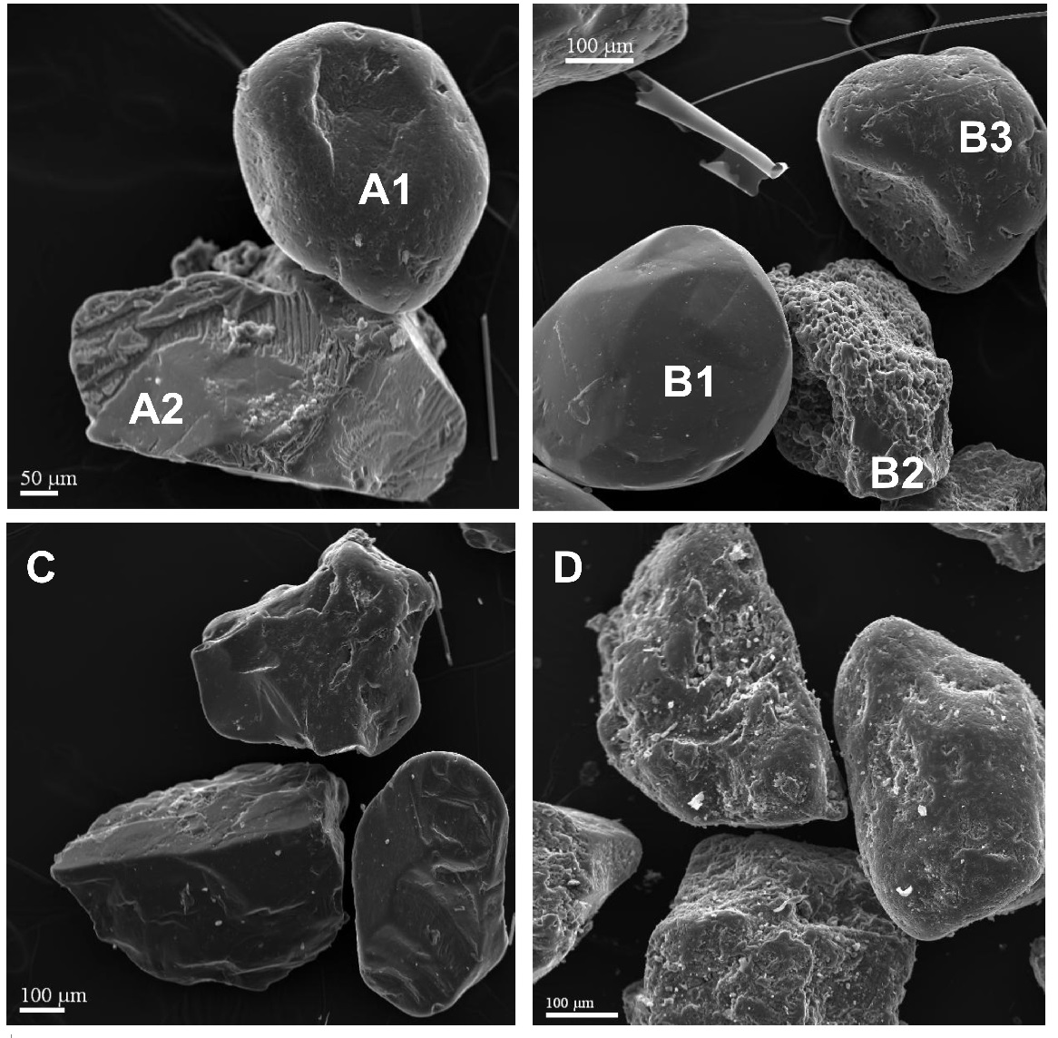 Photomicrographs of surface features in quartz grains from marine terraces: Holocene marine terraces (A, B and C) and Pleistocene marine terraces (D).