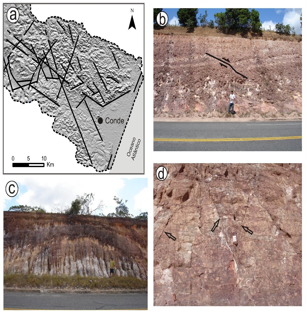 Neotectonic features in the Barreiras Group sediments, near Conde: main structural lines in the low course of the Itapicuru (a); low-angle normal failure (b); anticline (c); and tectonic joints (d).