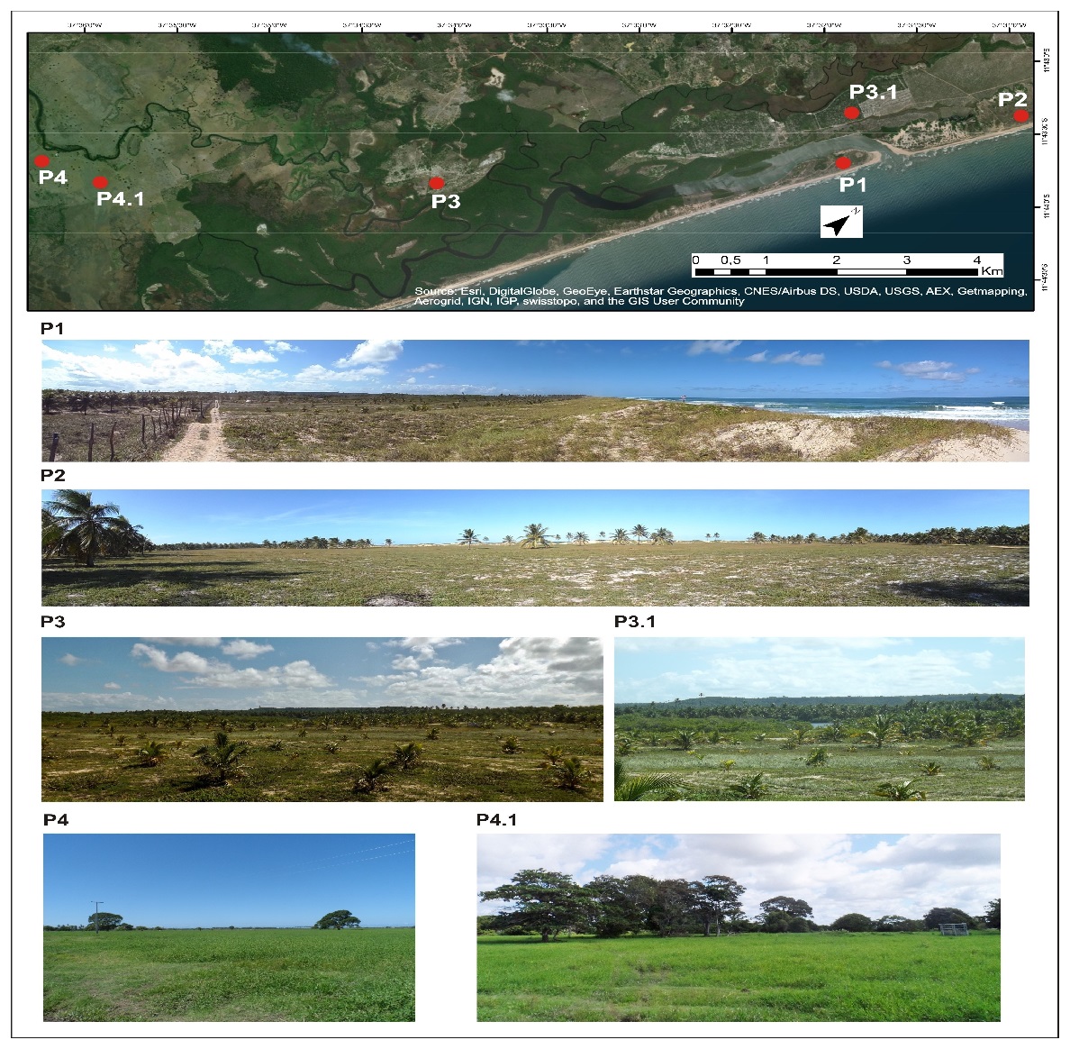Sampling points for surface deposits on the Itapicuru coastal plain. Holocene marine terraces (P1 and P2), Pleistocene marine terraces (P3 and P3.1) and floodplain (P4 and P4.1).