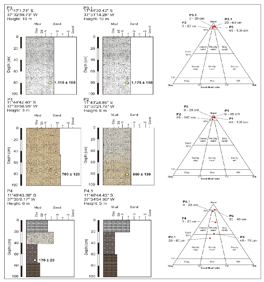 Descriptive profiles of surface deposits and Folk diagram with the distribution of samples by textural class.