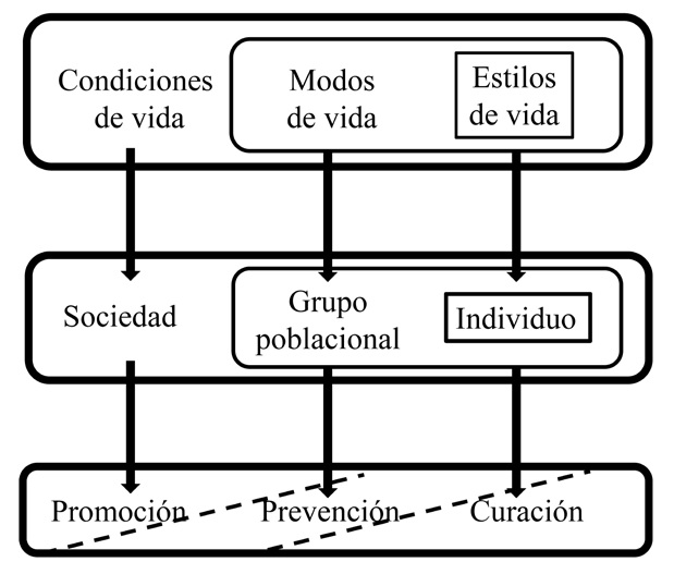 Relación entre determinación social y las acciones de promoción, prevención y curación.