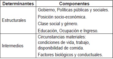 Determinantes sociales de la salud, según la OMS.