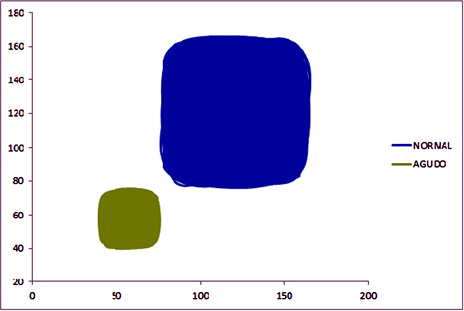Las din&aacute;micas cardiacas normales evaluadas en 21 horas.